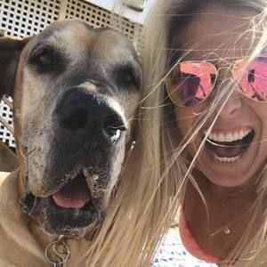 Meet your Posher, Ellen